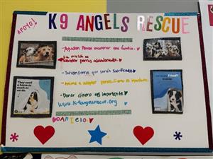 1st Grade IB Project